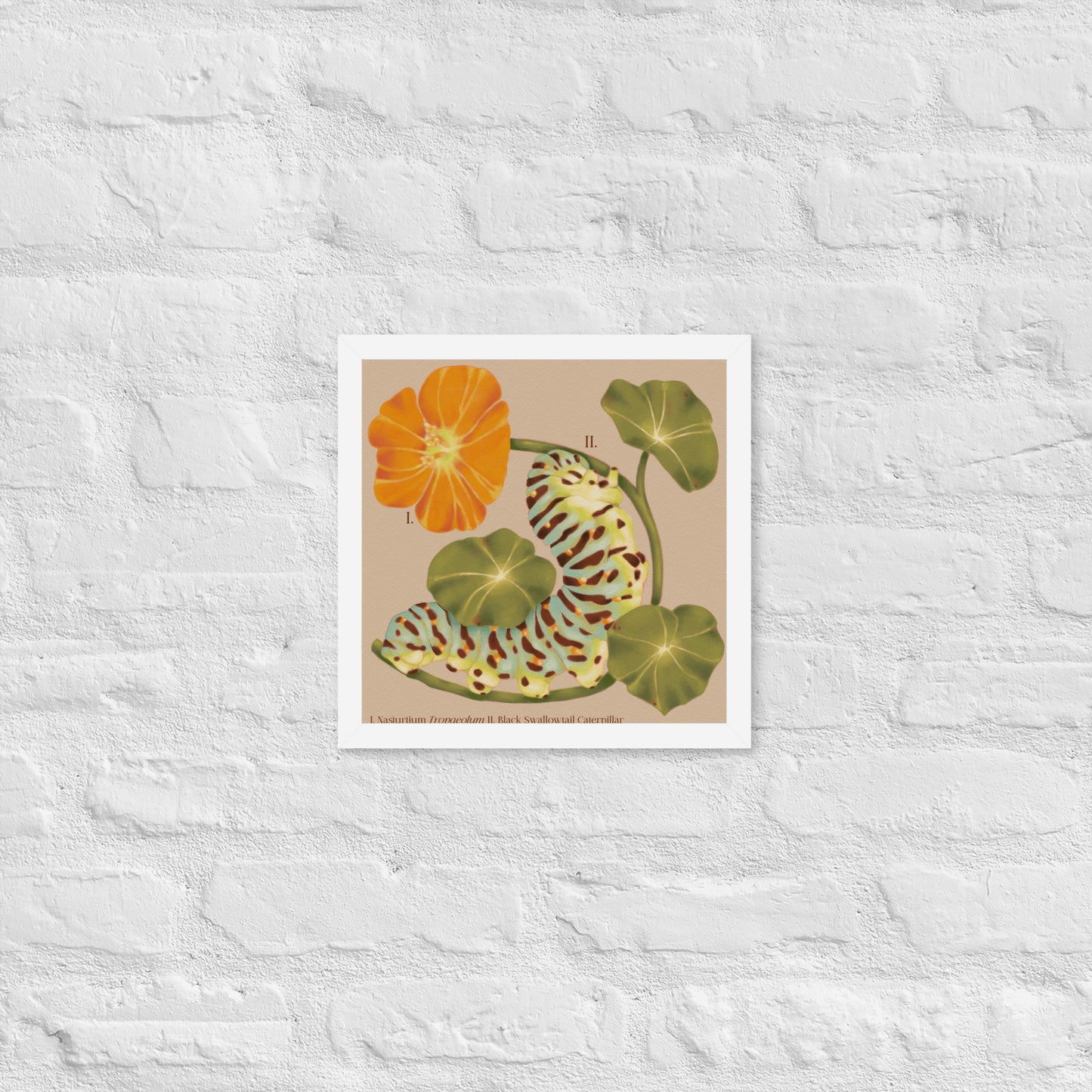 Framed botanical print of an orange flower and green leaves on a textured white wall.