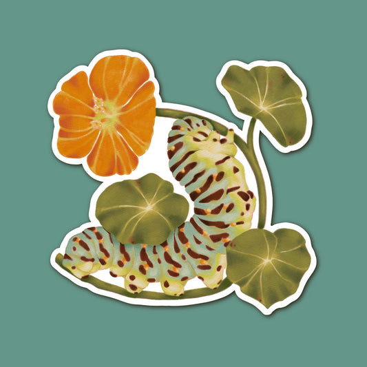 Illustration of a caterpillar on leaves with a flower on a green background