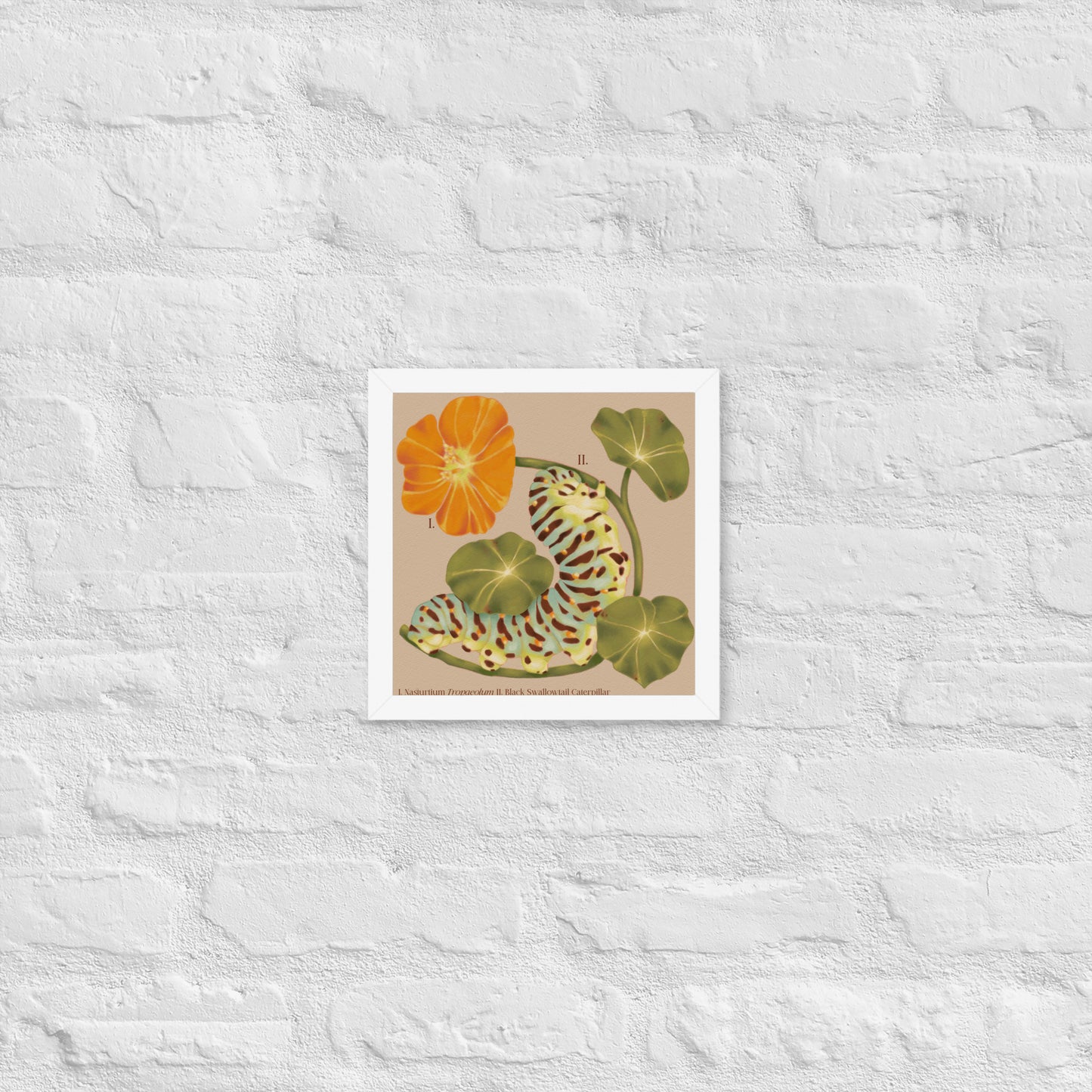 Framed artwork of a floral design on a textured white wall
