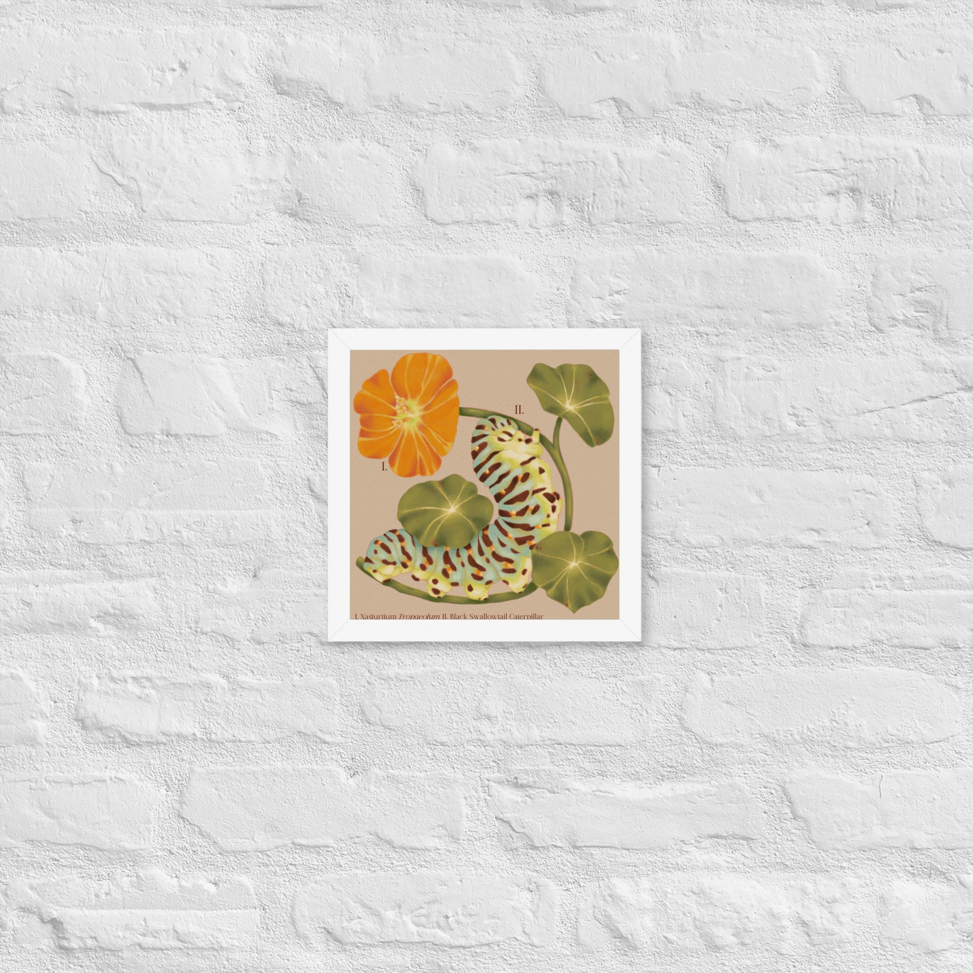 Framed artwork of a floral design on a textured white wall