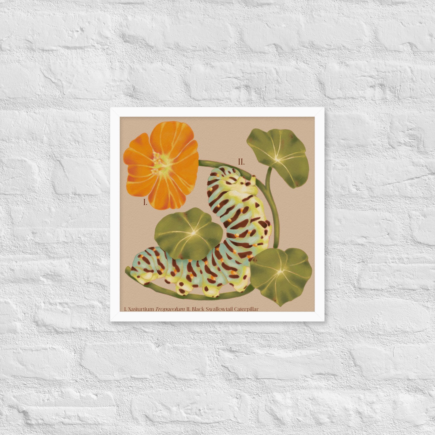 Illustration of a caterpillar and flower on a textured white background