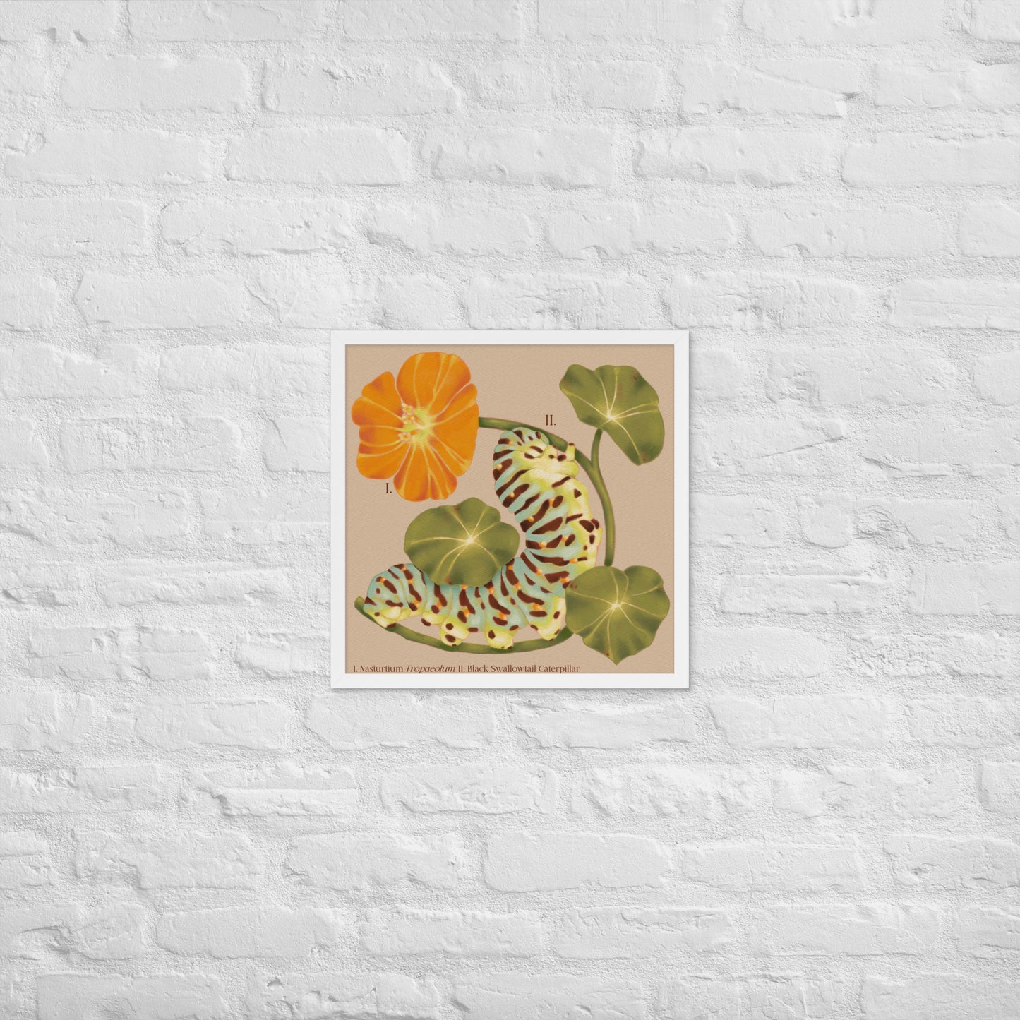 Framed botanical illustration of a flower and leaves on a textured white wall.