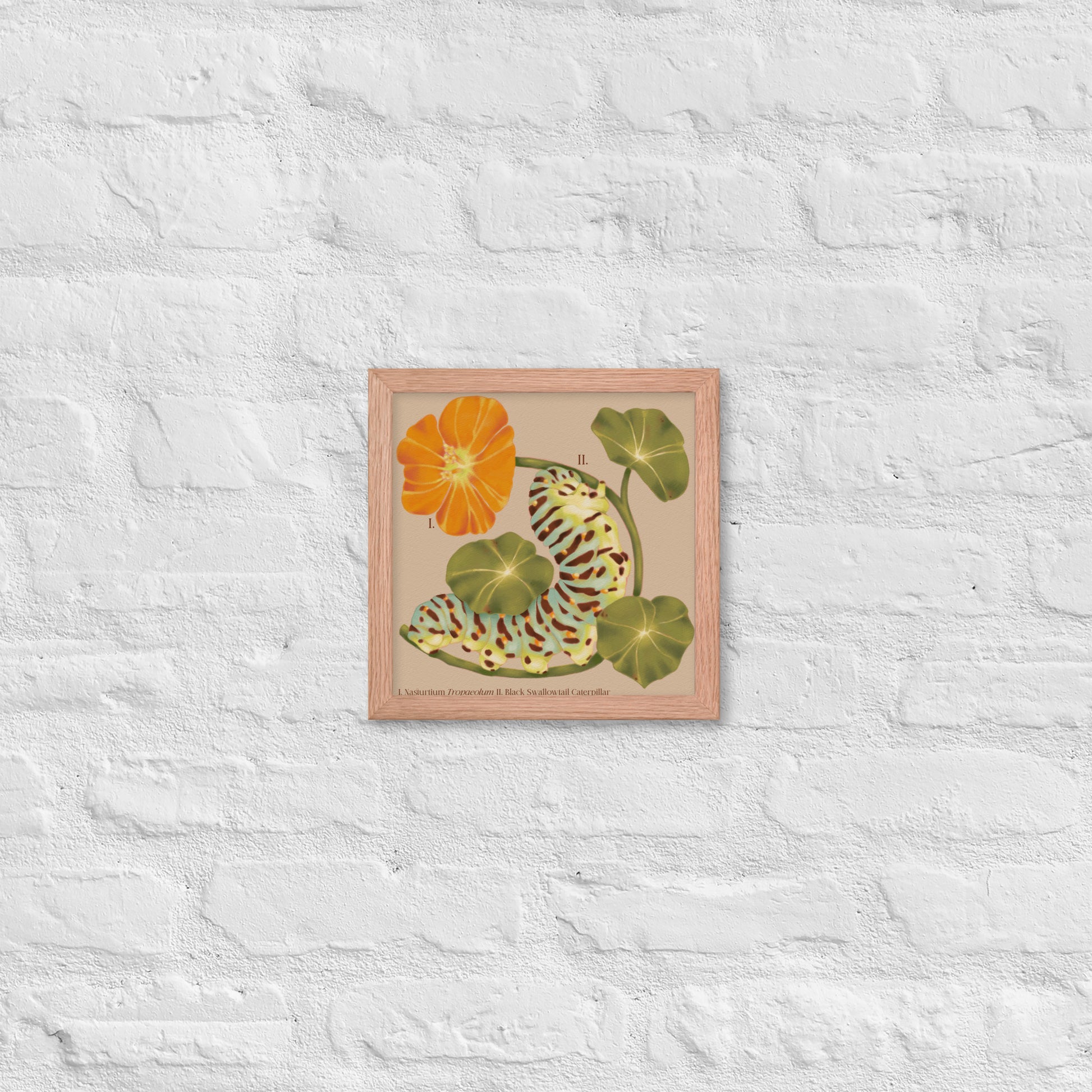 Framed artwork with floral design on a textured white wall