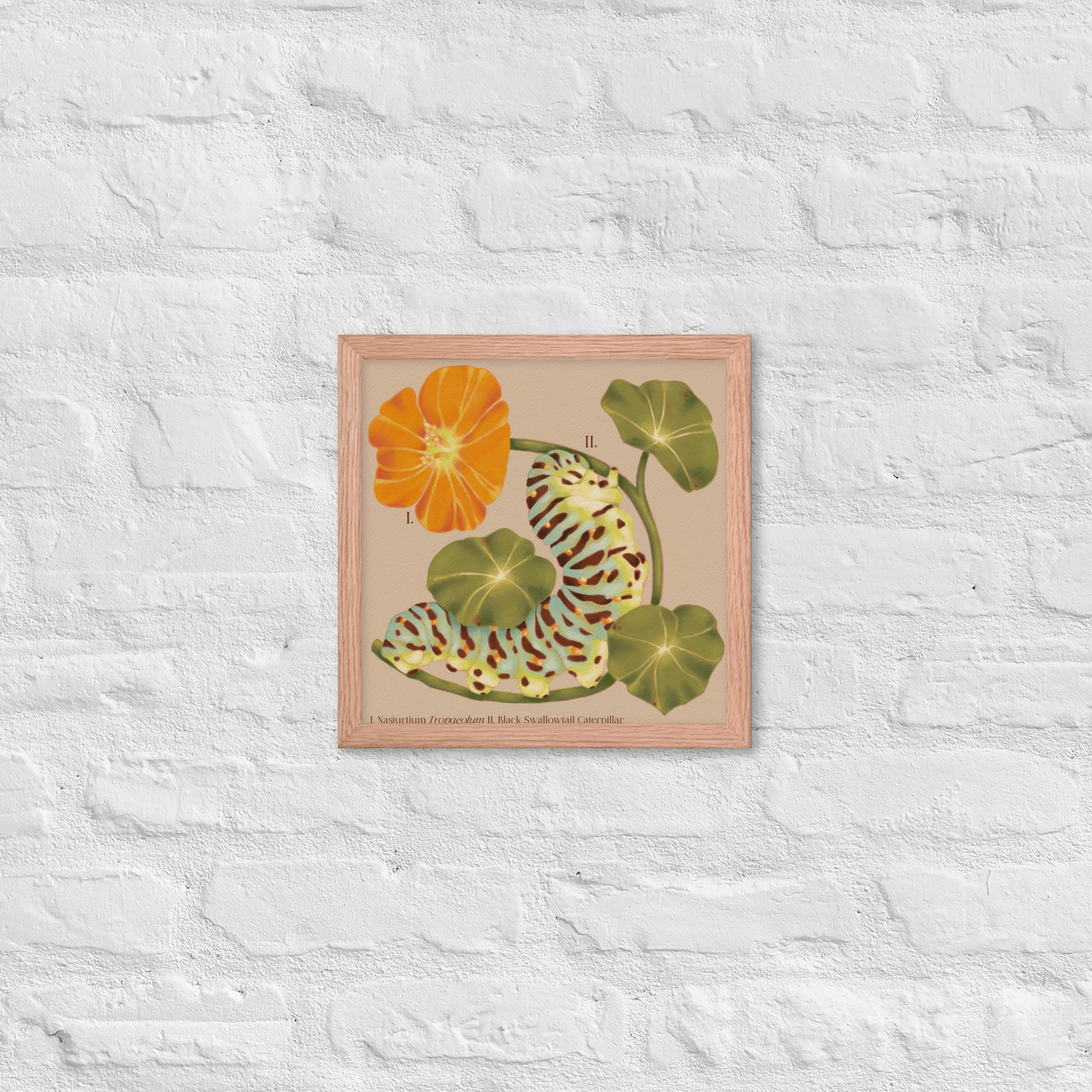 Framed botanical illustration of flowers and leaves on a textured white wall