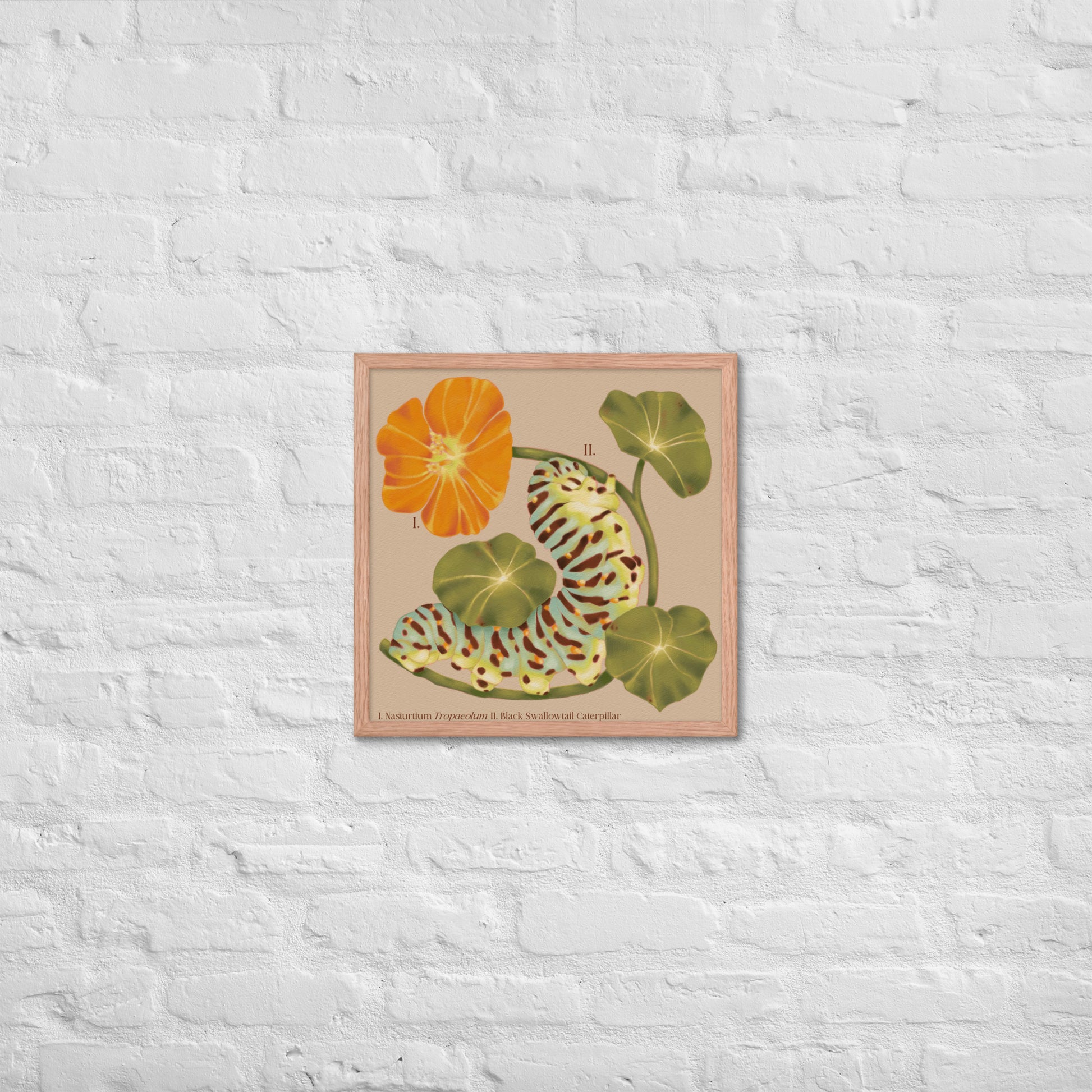 Framed botanical illustration of a flower and leaves on a white brick wall.